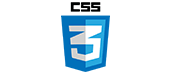 css3