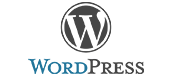wordpress-theme-development