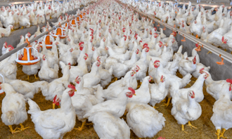 Farm To Kitchen Delivery