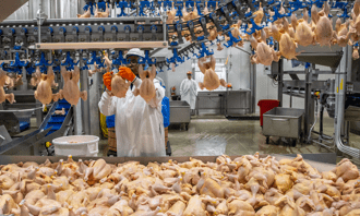 Online Chicken Market